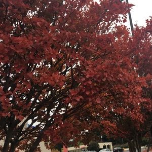 Meet your Posher, Miriam